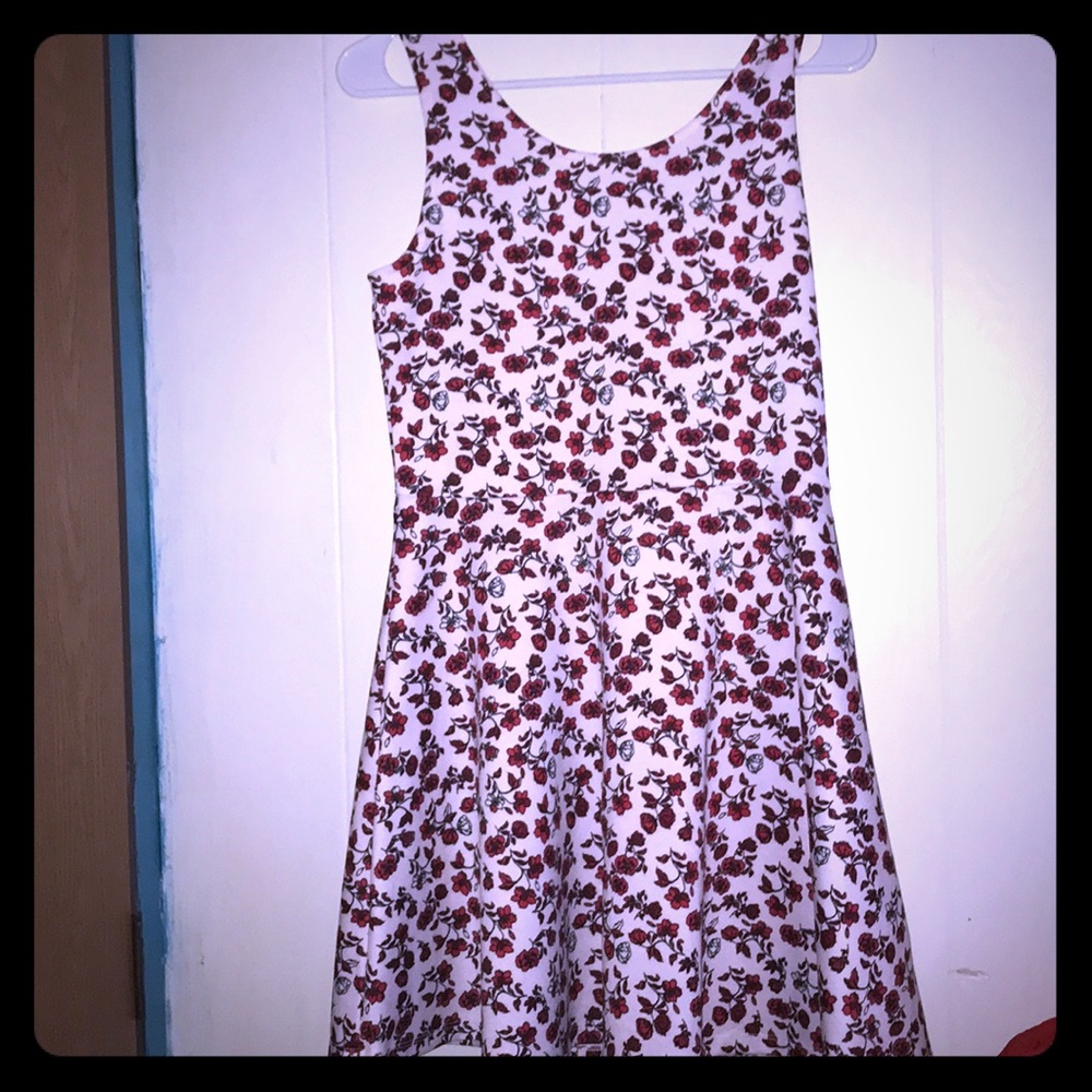 H&M Floral Skater Dress